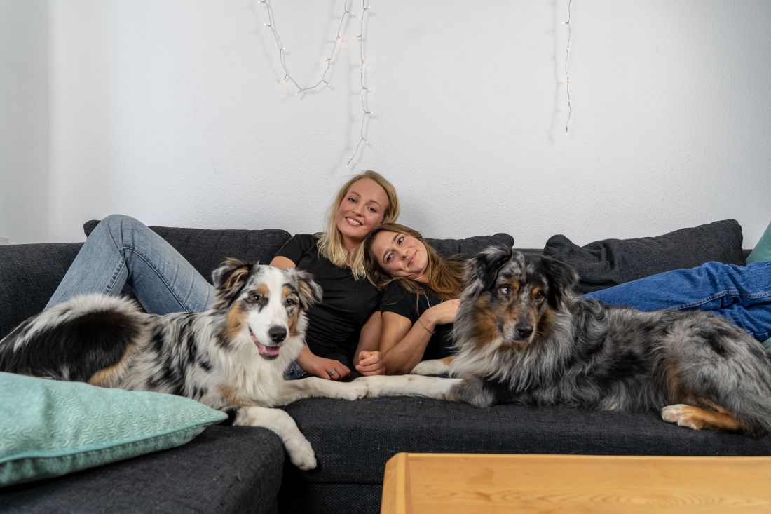 hunde_entspannung_büro