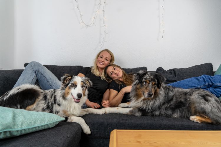 hunde_entspannung_büro