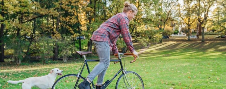Fahrradfahrer mit Hund
