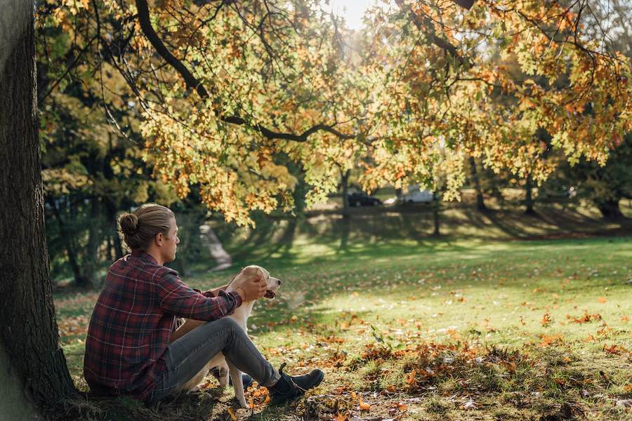 Hund und Mensch, entspannt gemeinsam im Park