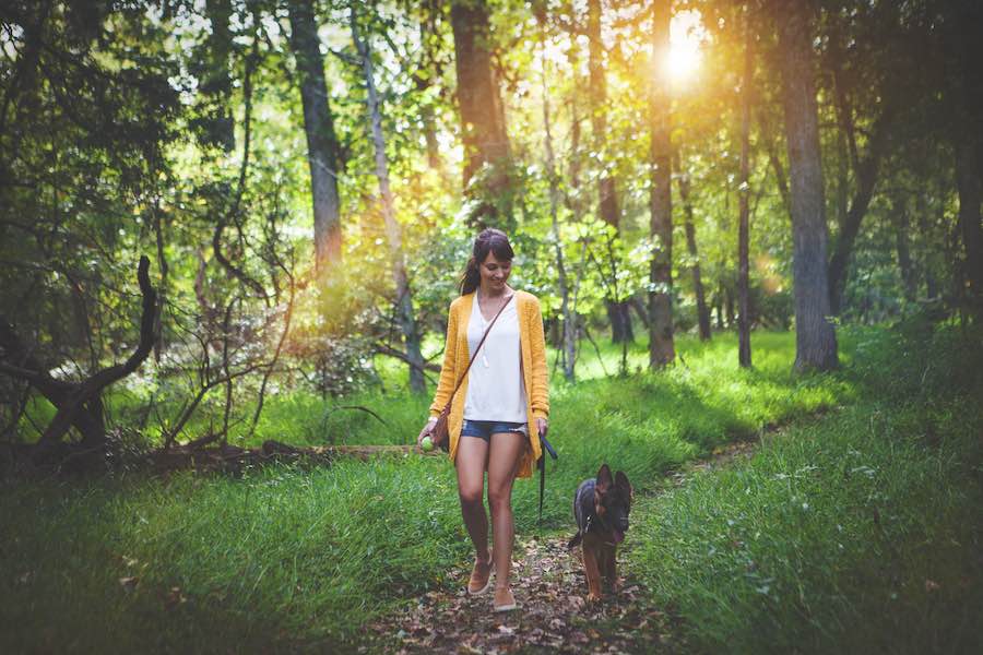 Frau und Hund entspannt im Wald